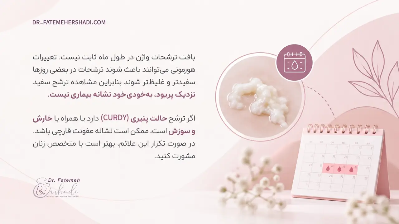 ترشح سفید پنیری قبل و بعد از پریود