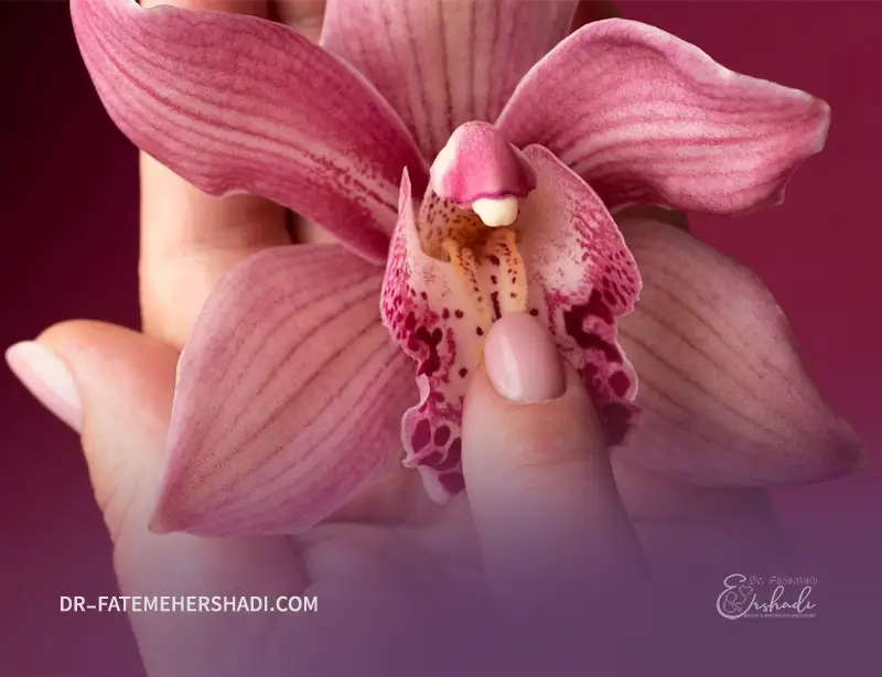 ترشح سفید پنیری واژن